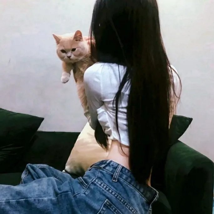 射雕英雄传之东邪西毒