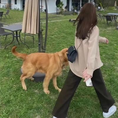 糖果男孩
